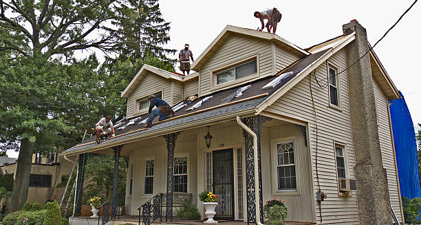 Best Gutter Installation and Roofing  in Egan, LA
